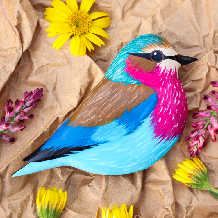 Leylak Göğüslü Gökkuzgun TOKA (Coracias caudatus)