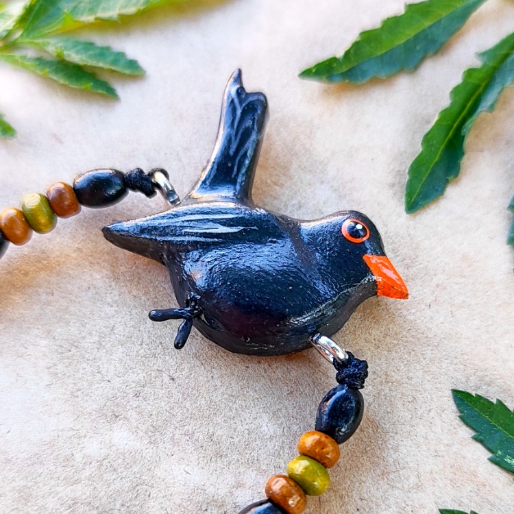 Karatavuk Kuşu BİLEKLİK (Turdus merula)