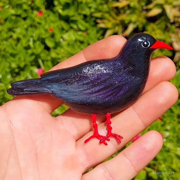 Kırmızı Gagalı Dağ Kargası TOKA (Pyrrhocorax graculus)