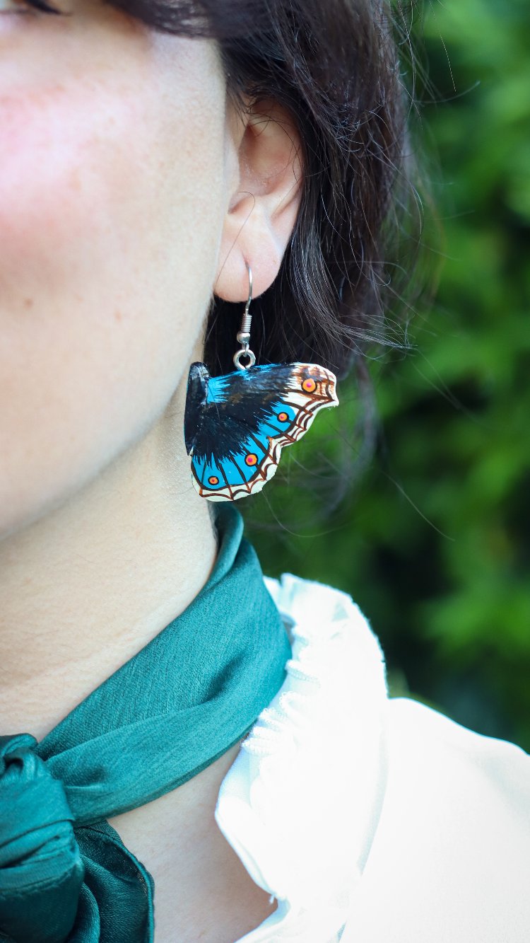 Dicle Güzeli Kelebeği KÜPE (Junonia orithya)