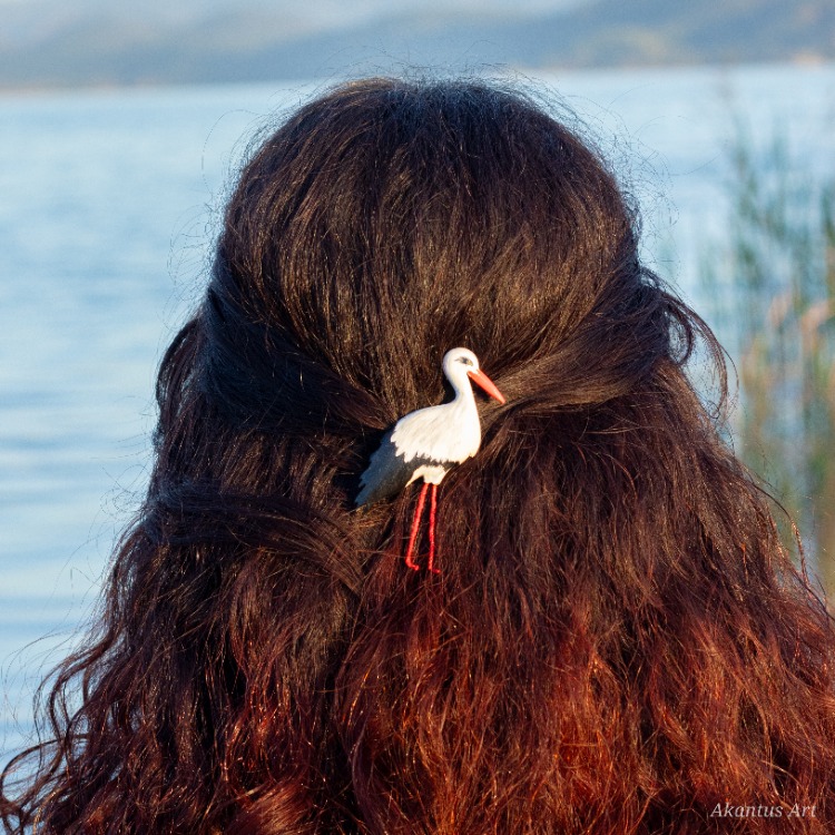 Yaren Leylek TOKA (Ciconia ciconia)