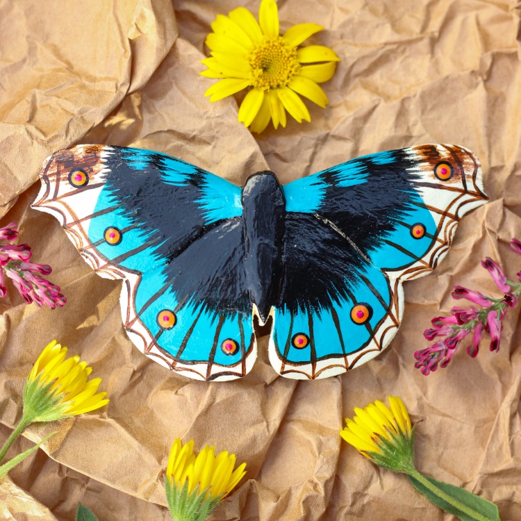 Dicle Güzeli Kelebeği TOKA (Junonia orithya)