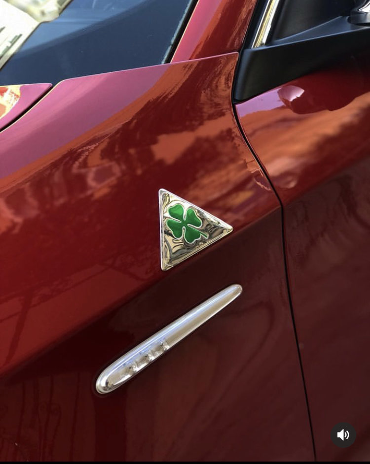 Alfa Romeo Krom Çamurluk Yoncası