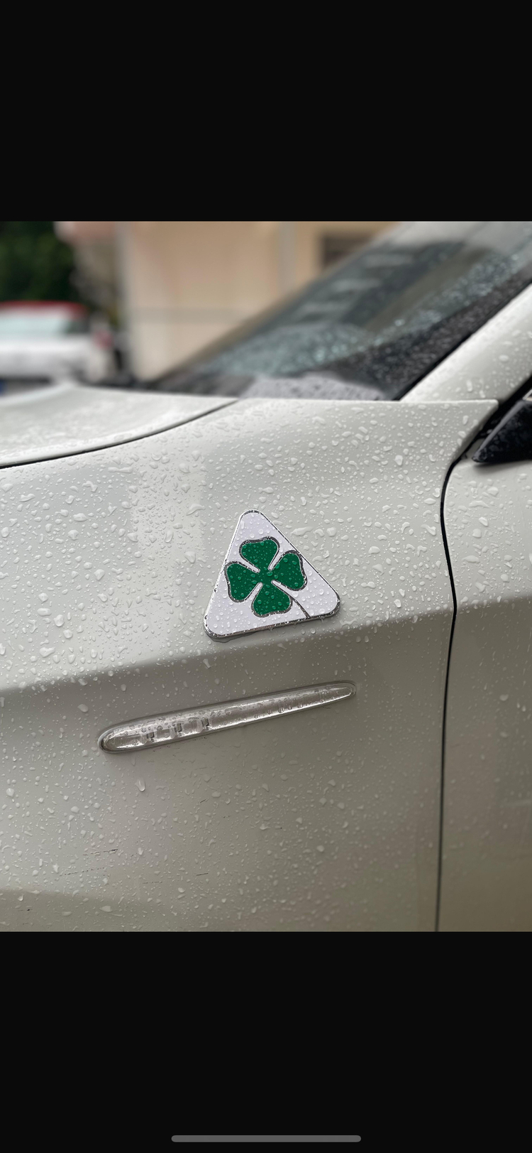 Alfa Romeo Beyaz Çamurluk Yoncası Seti