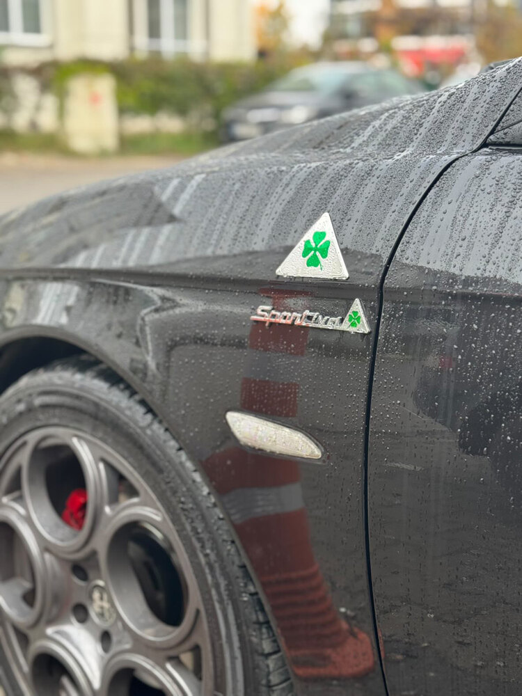 Alfa Romeo Krom Çamurluk Yoncası