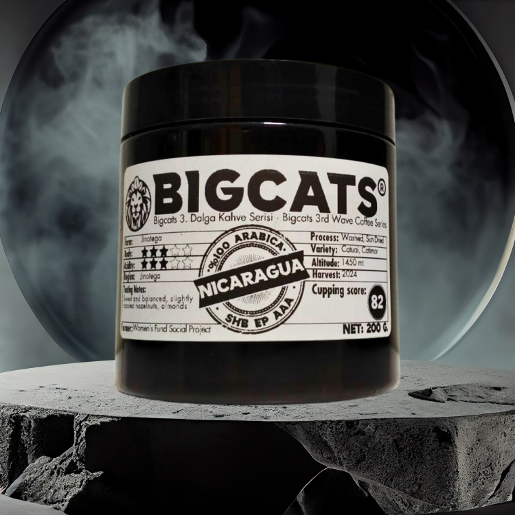 Bigcats Nicaragua SHB EP AAA Çekirdek Kahve 200 g