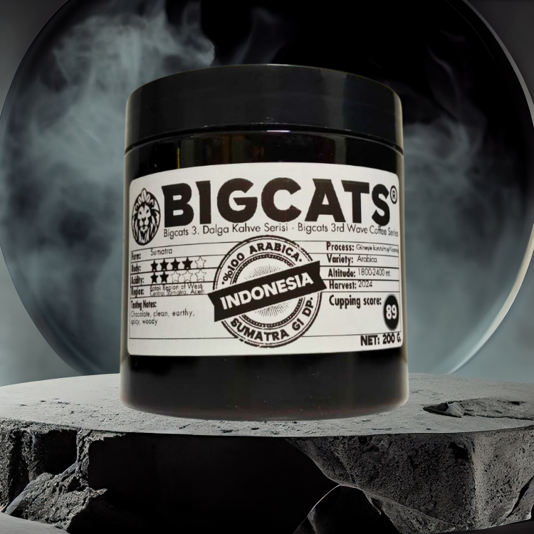 Bigcats Endonezya Sumatra Mandheling Double Picked Çekirdek Kahve 200 g