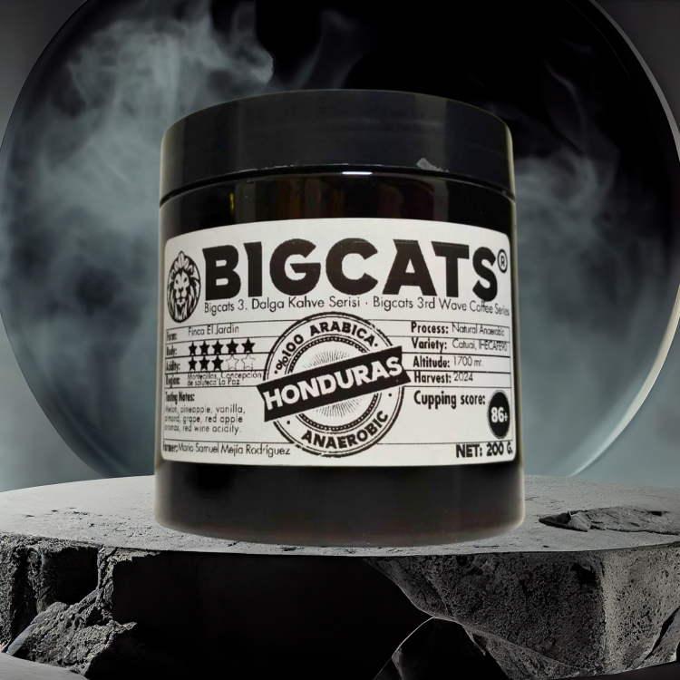 Bigcats Kosta Rika Tarrazu Santa Elena Natural Çekirdek Kahve 200 g