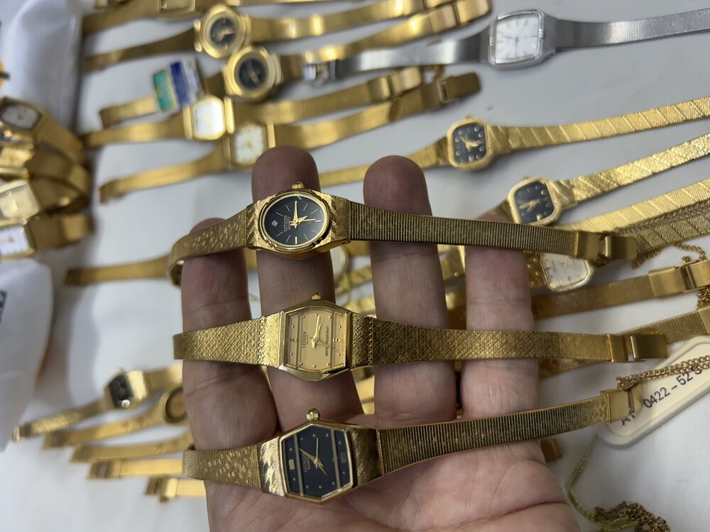Citizen Vintage kadın saati 
