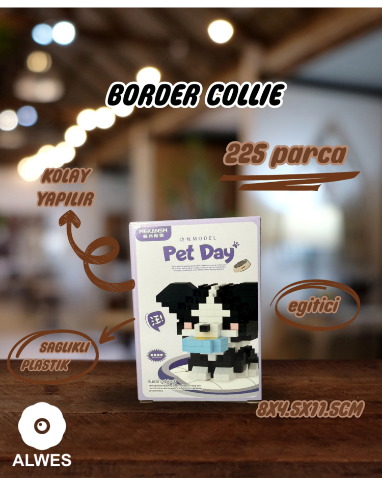 Border Collie Köpeği Lego