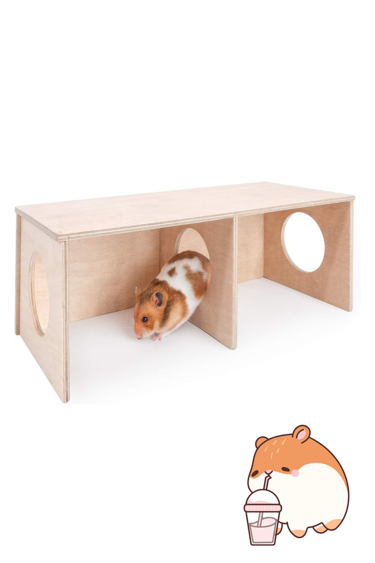 Suriye Hamsterı İçin Büyük Boy Gizli Gözlem Evi - 2 Odalı Tünel ve Saklanma Oyuncağı