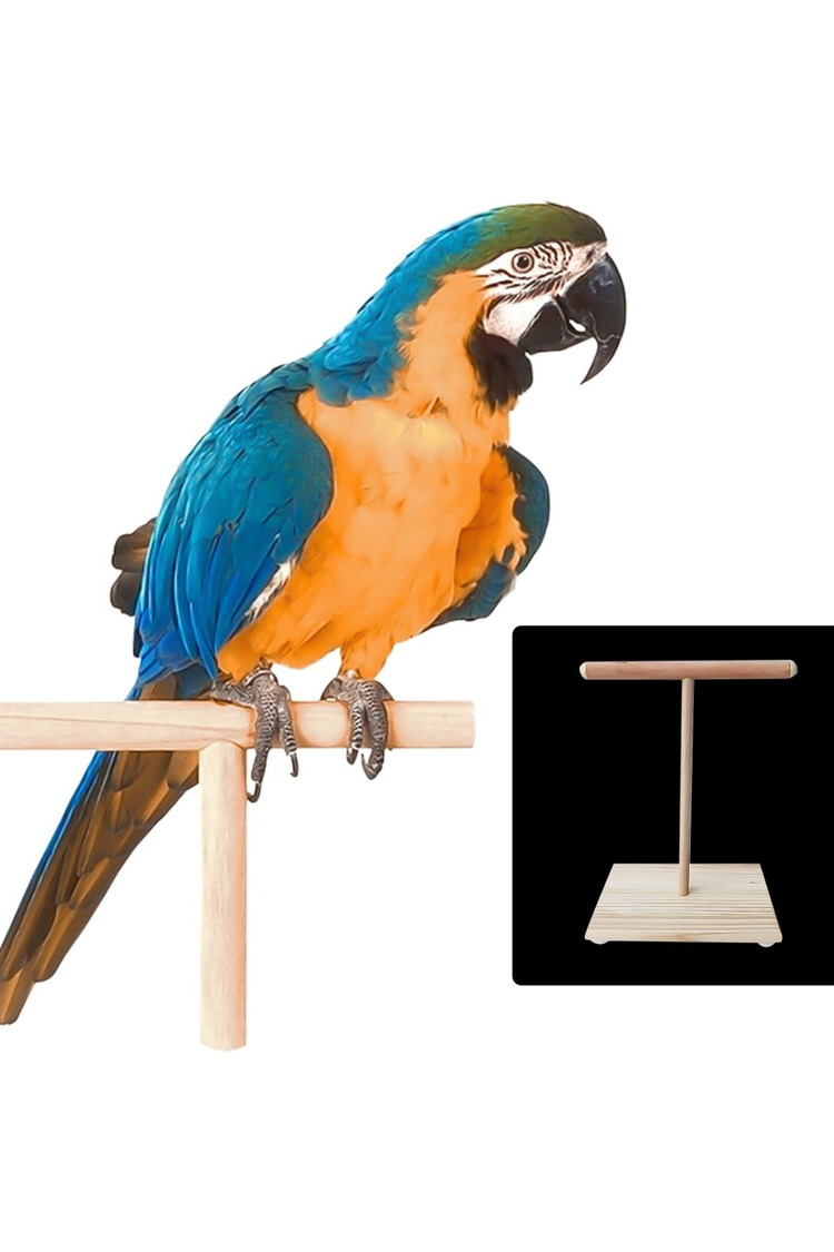Ahşap T-Stand Kuş Platformu – Doğal, Dayanıklı, Kolay Montaj