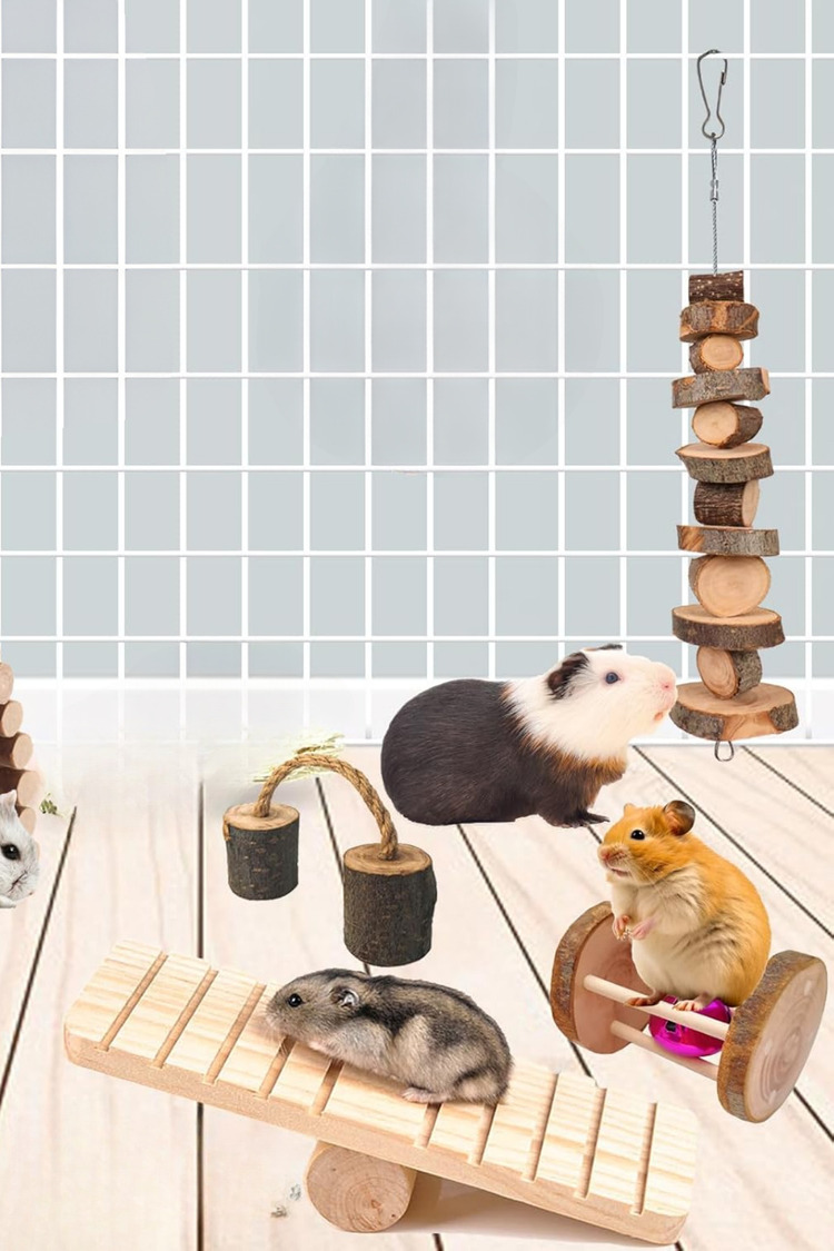 Doğal Ahşap Kemirgen Seti (6 Parça) - Hamster, Gine Pig, Tavşan, Çinçilla için Kafes Aksesuarları