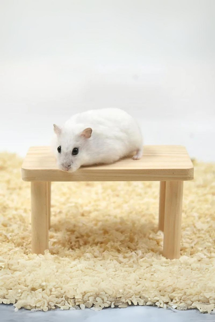 Hamster Ahşap Oyun Platformu - Kafes Aksesuarı ve Yem Standı