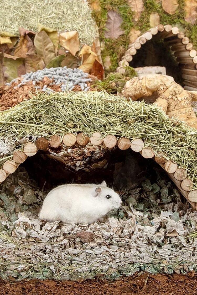 (40cm X 20cm) Hamster Gerbil Fare Sıçan Gine Domuzu Veya Diğer Küçük Hayvanlar Için Köprü Merdiveni