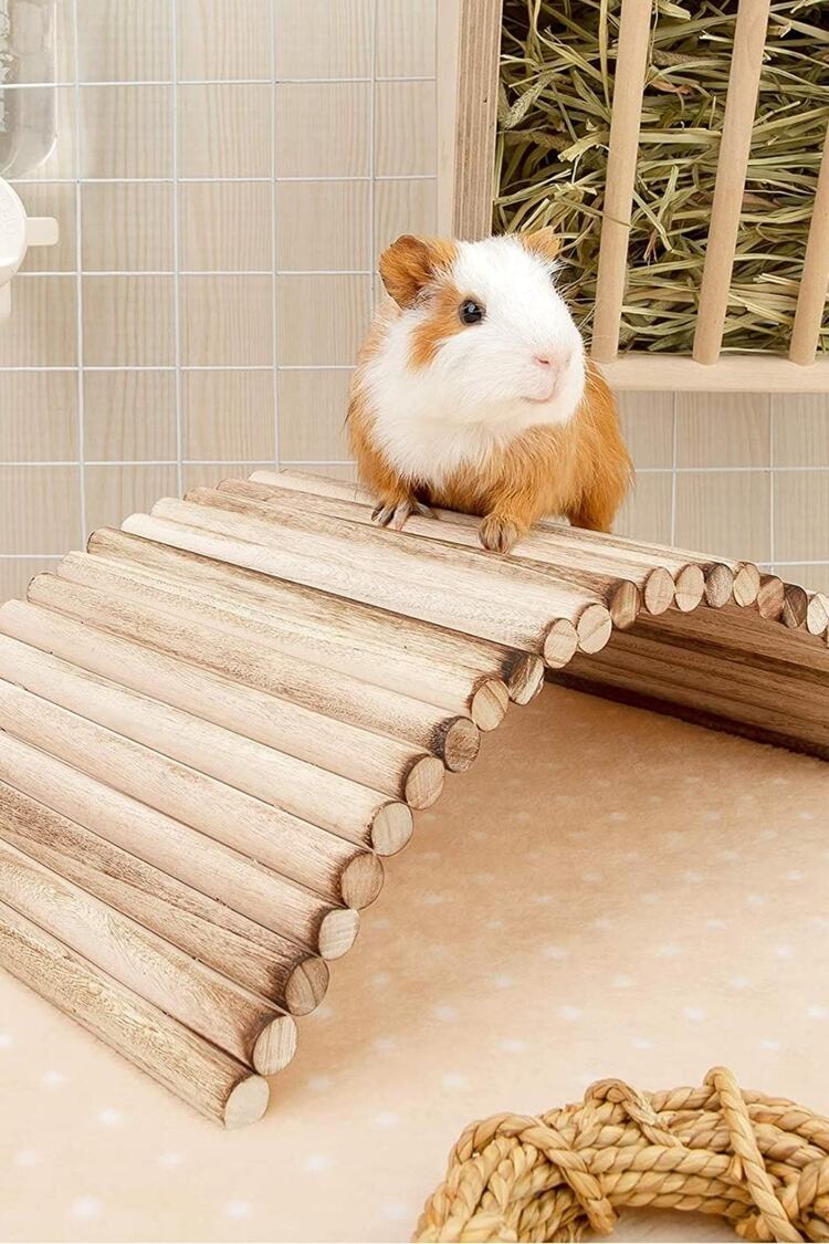 (40cm X 20cm) Hamster Gerbil Fare Sıçan Gine Domuzu Veya Diğer Küçük Hayvanlar Için Köprü Merdiveni