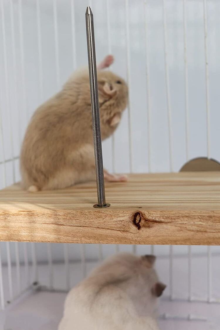Çivili Meyve Sebze Asmalı Kuş, Hamster Asılı Tünek, Kuş Mama Tutucu, Doğal Ahşap Kuş Kafesi