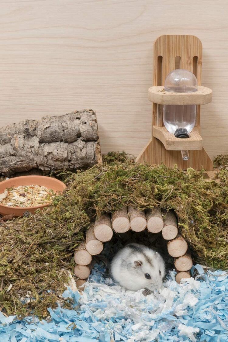 Doğal Ahşap Çubuklu Köprü - Hamster Fare Sıçan Kemirgenler Oyuncağı