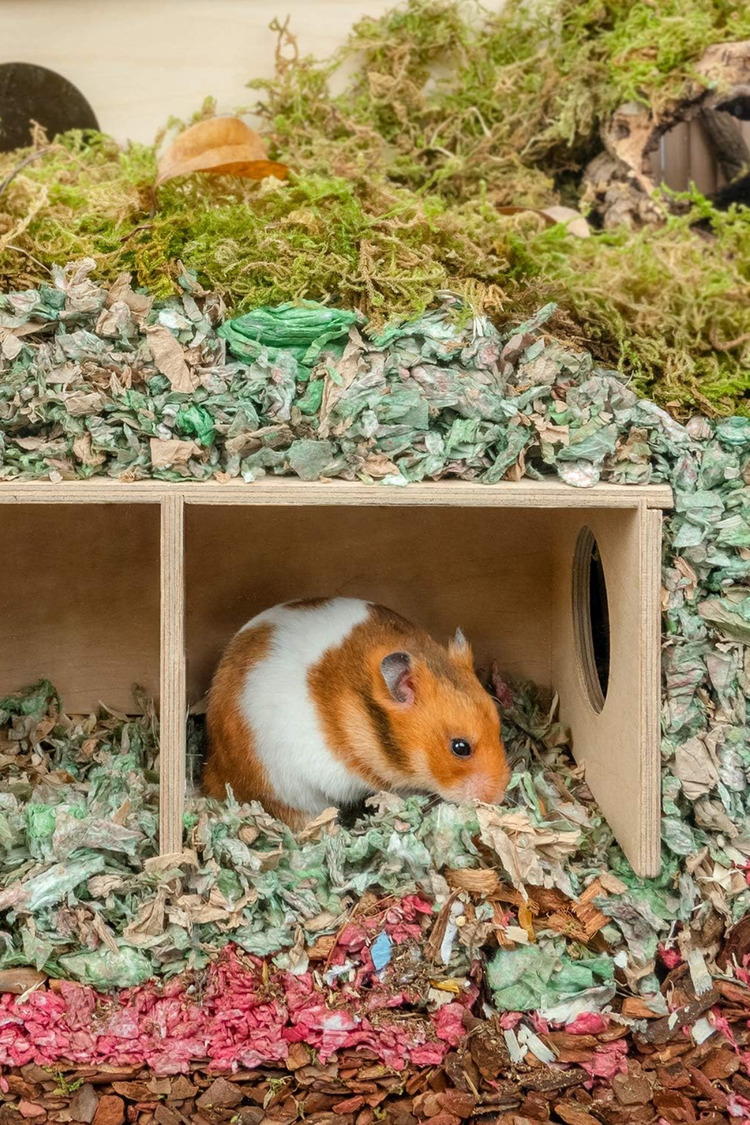 Suriye Hamsterı İçin Büyük Boy Gizli Gözlem Evi - 2 Odalı Tünel ve Saklanma Oyuncağı