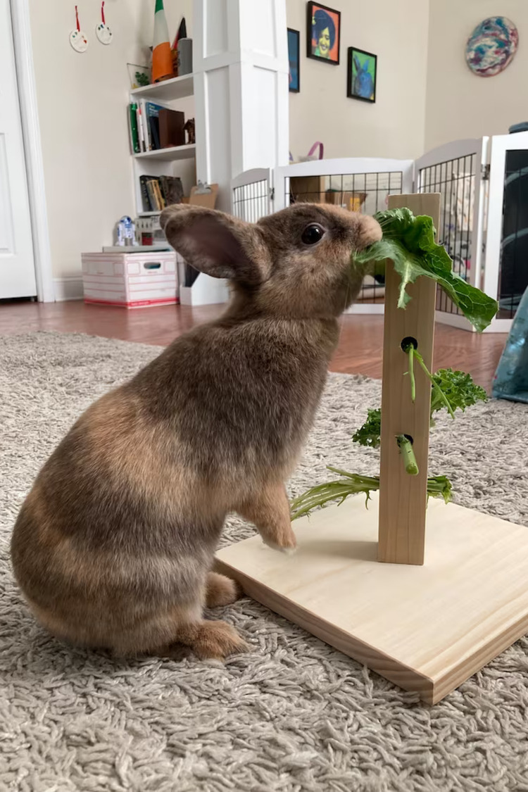 Bunny Tree – Ahşap Tavşan Foraging Oyuncağı, Doğal Çam, Zihinsel Uyarım
