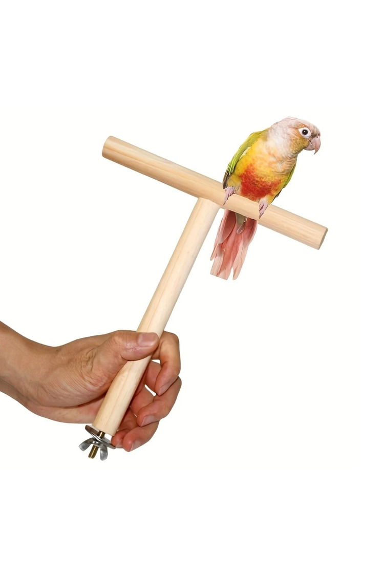 19.99cm T-Şekilli Ahşap Kuş Platformu - Küçük ve Orta Boy Papağanlar İçin
