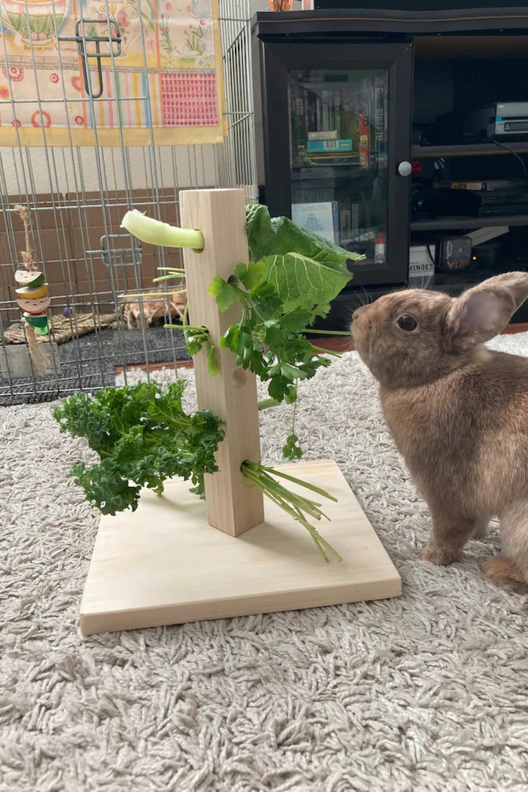 Bunny Tree – Ahşap Tavşan Foraging Oyuncağı, Doğal Çam, Zihinsel Uyarım