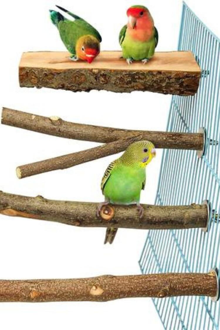 4 Paket Doğal Ahşap Kuş Levrek, Papağan Standı Levrek Platformu