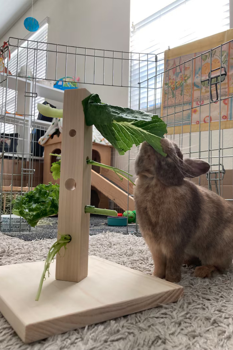 Bunny Tree – Ahşap Tavşan Foraging Oyuncağı, Doğal Çam, Zihinsel Uyarım