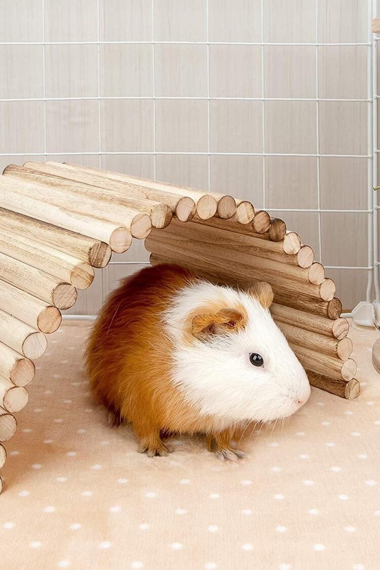 (40cm X 20cm) Hamster Gerbil Fare Sıçan Gine Domuzu Veya Diğer Küçük Hayvanlar Için Köprü Merdiveni