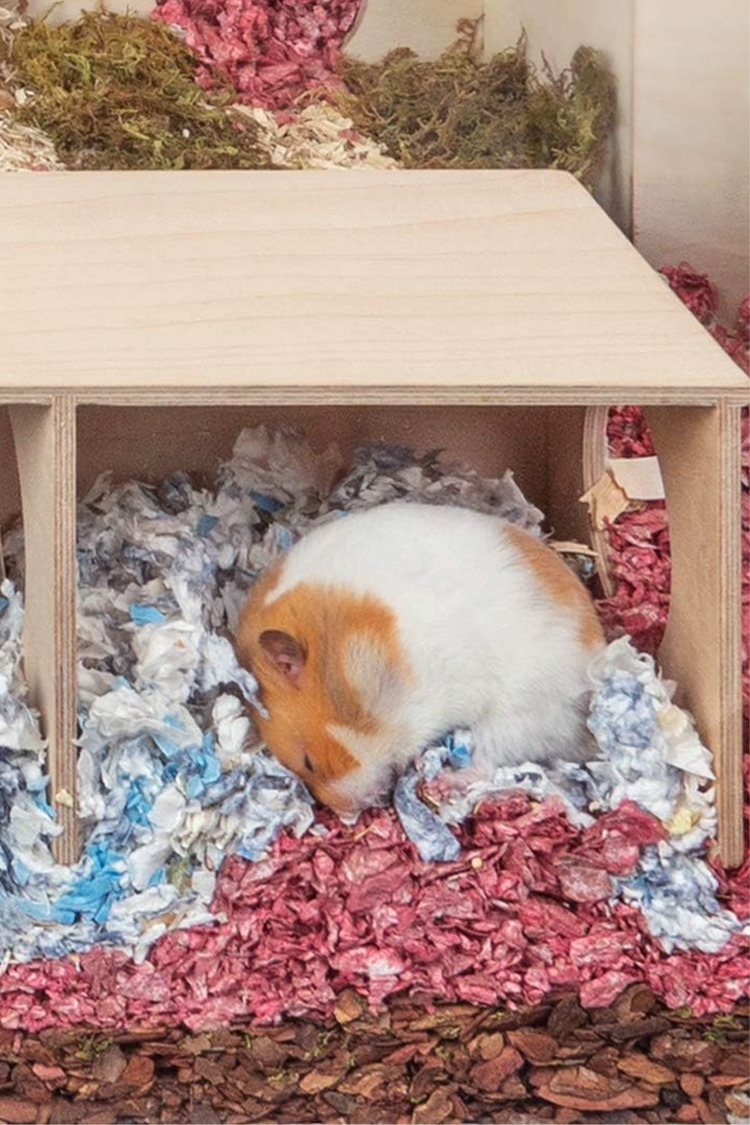 Suriye Hamsterı İçin Büyük Boy Gizli Gözlem Evi - 2 Odalı Tünel ve Saklanma Oyuncağı