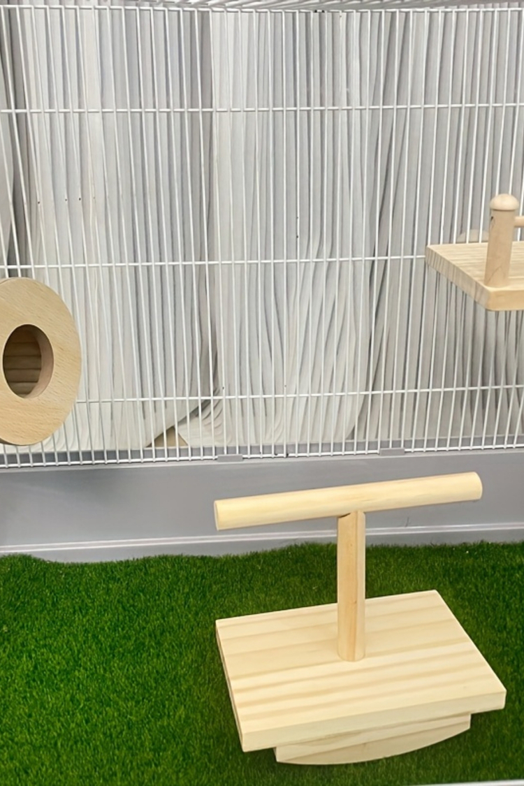 Doğal Ağaç Kuş Oyun Platformu - Muhabbet Kuşu, Conure, Sultan Papağanı İçin Zeka Oyuncağı