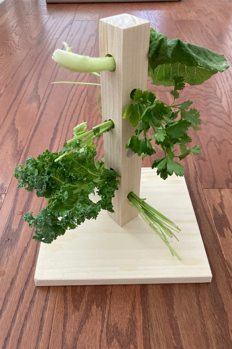 Bunny Tree – Ahşap Tavşan Foraging Oyuncağı, Doğal Çam, Zihinsel Uyarım