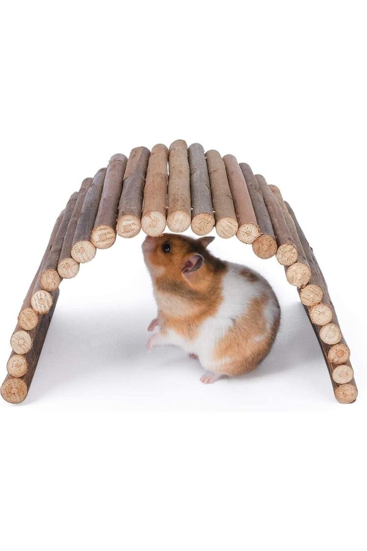 Hamster Fare Sıçan Kuşlar Için Eğlenceli Ahşap Merdiven Köprü