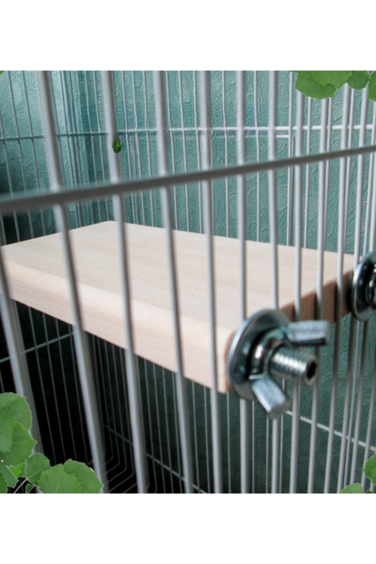 4'lü Set Doğal Kavak Ağacı Chinchilla Platformu - Sıçan, Muhabbet Kuşu, Hamster İçin Kafes Aksesuarı
