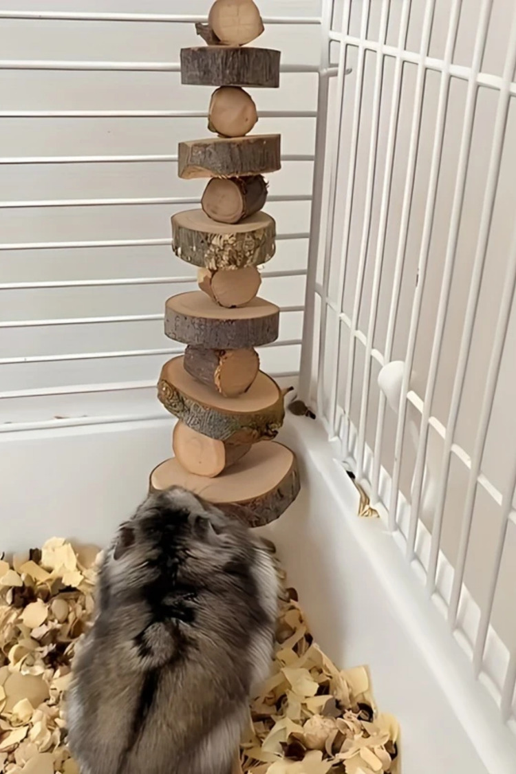 Doğal Karapaguianesis Ahşap Hamster Çiğneme Oyuncağı - Diş Taşlama Malzemesi
