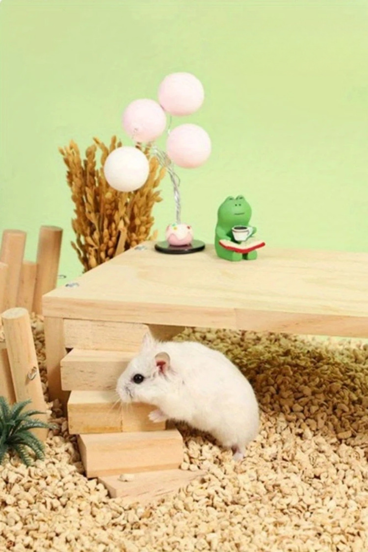 Ahşap Hamster Tırmanma Platformu - Merdivenli Kafes Aksesuarı