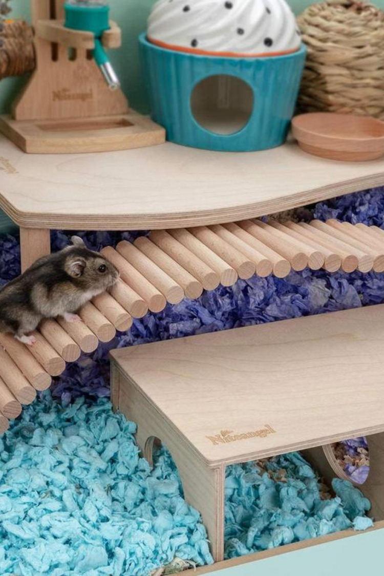 Doğal Ahşap 40cm Kafes Merdiven - Küçük Hayvanlar ve Sürüngenler İçin Tırmanma Köprüsü