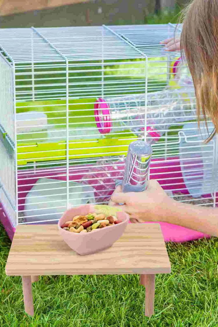 Hamster Ahşap Oyun Platformu - Kafes Aksesuarı ve Yem Standı