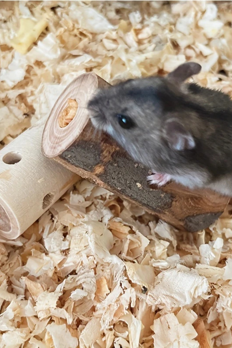 1 adet Doğal Ahşap Çiğneme Oyuncağı - Hamster, Tavşan ve Kemirgenler İçin Diş Kaşıyıcı Çubuk