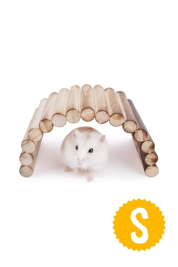 (20cm X 10cm) Hamster Gerbil Fare Sıçan Gine Domuzu Veya Diğer Küçük Hayvanlar Için Köprü Merdiveni