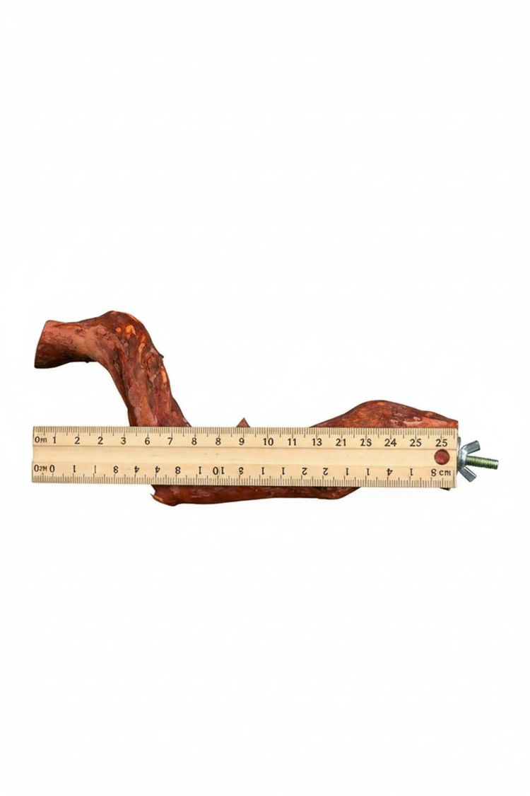 Doğal Ahşap Kuş Tüneği 25 cm Kuş Kafesi Aksesuarı Güvenli ve Sağlıklı Dinlenme Alanı