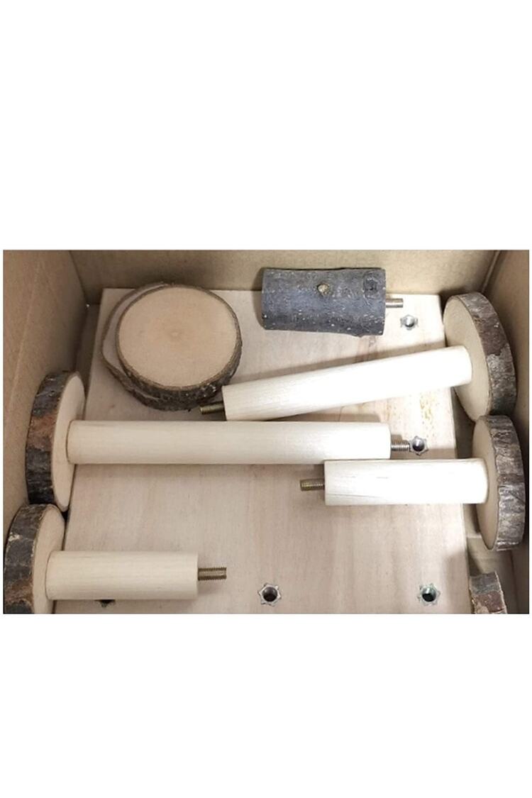 2'li Set Hamster Oyun Alanı Bendy Köprü Seti Cüce Hamster