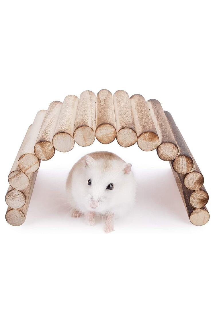 (20cm X 10cm) Hamster Gerbil Fare Sıçan Gine Domuzu Veya Diğer Küçük Hayvanlar Için Köprü Merdiveni