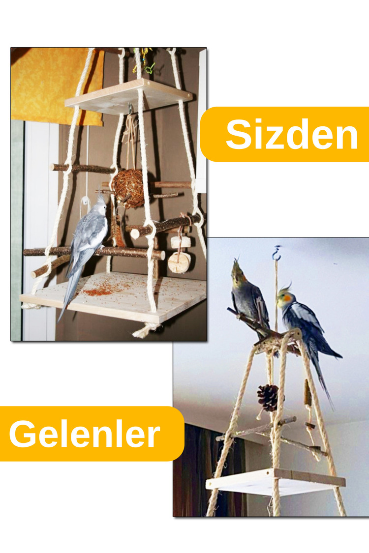 XXL Heyecan Verici Kuş Oyun Alanı - Büyük Macera Alanı, Kuşlarınız İçin Eğlence ve Egzersiz