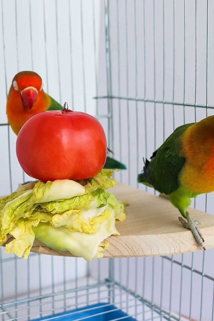 Çeyrek Daire Çivili Kuş Hamster Yemek Mama Tüneği, Uş Mama Tutucu, Doğal Ahşap Kuş Kafesi Tüneği