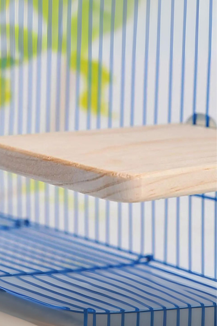 Chinchilla Hamster Sıçrama Tahtası - Kuş ve Papağan Aktivite Platformu