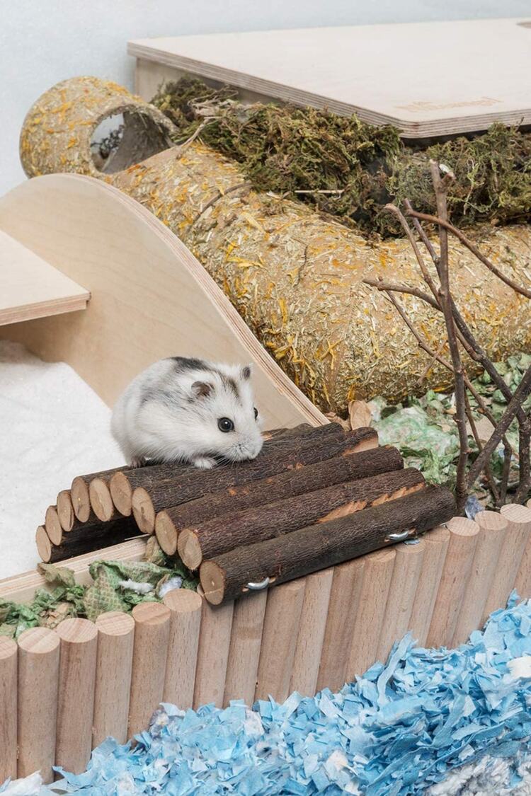 Doğal Ahşap Çubuklu Köprü - Hamster Fare Sıçan Kemirgenler Oyuncağı