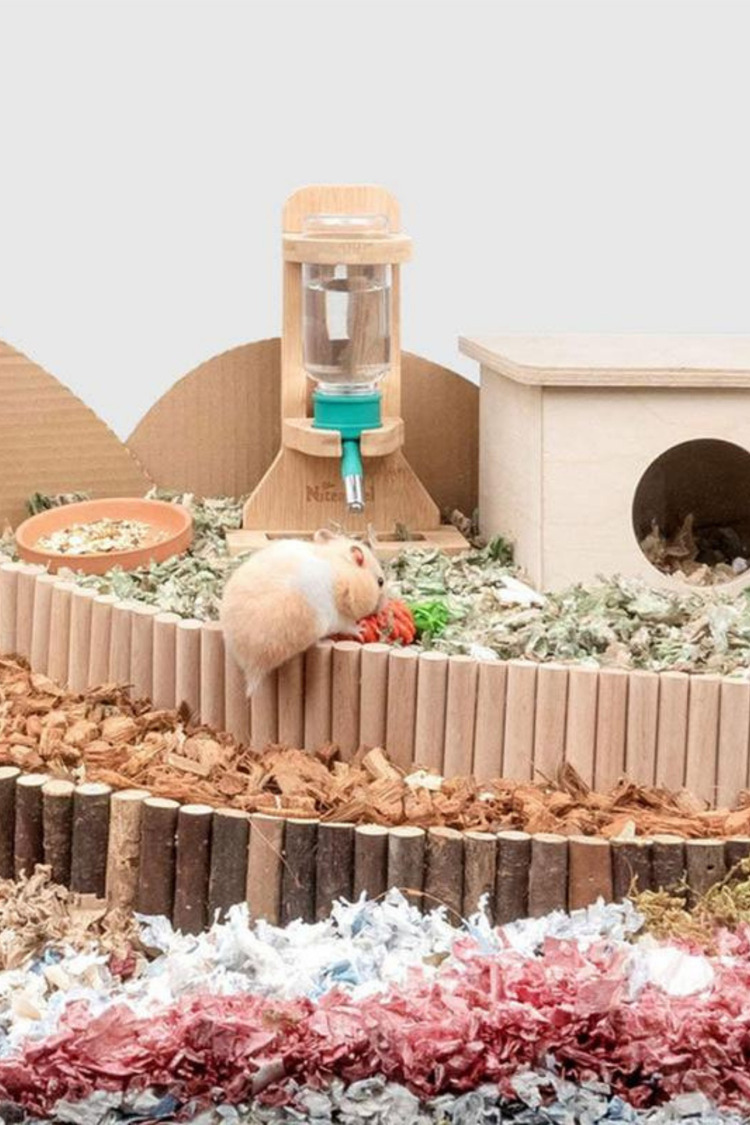 Doğal Ahşap 40cm Kafes Merdiven - Küçük Hayvanlar ve Sürüngenler İçin Tırmanma Köprüsü