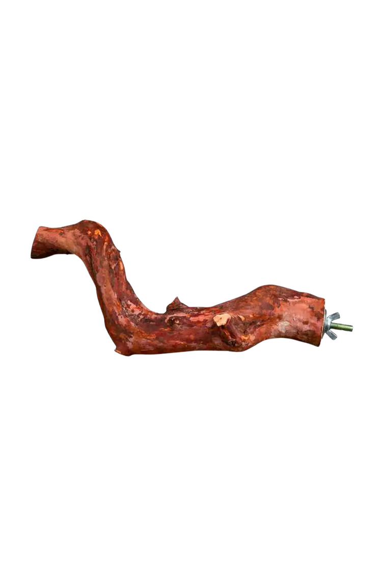 Doğal Ahşap Kuş Tüneği 25 cm Kuş Kafesi Aksesuarı Güvenli ve Sağlıklı Dinlenme Alanı