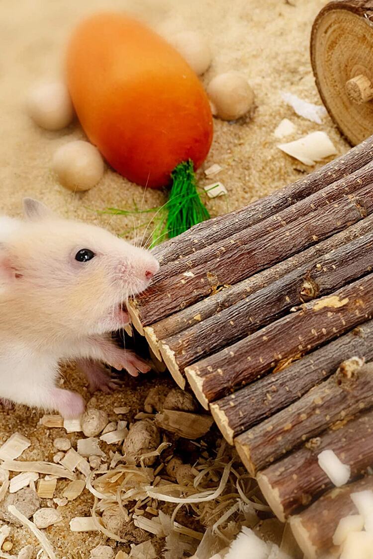 Ahşap Çubuklu Hamsterlar Için Ahşap Eğlence Köprüsü